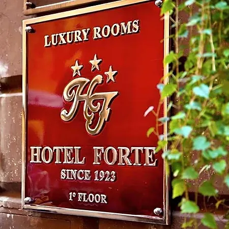 Hotel Hotel Forte