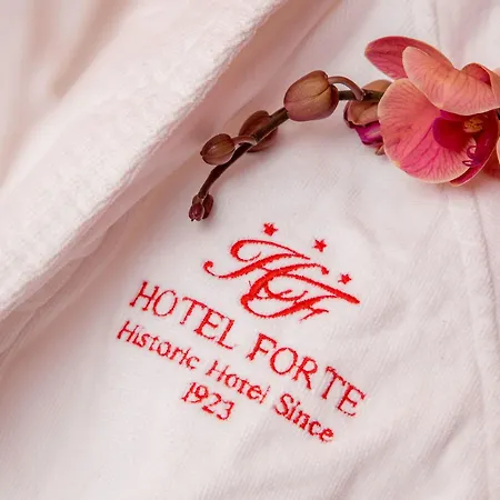 Otel Hotel Forte