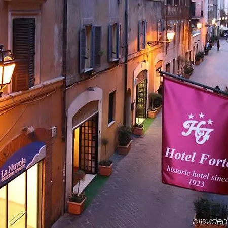 Otel Hotel Forte 3*